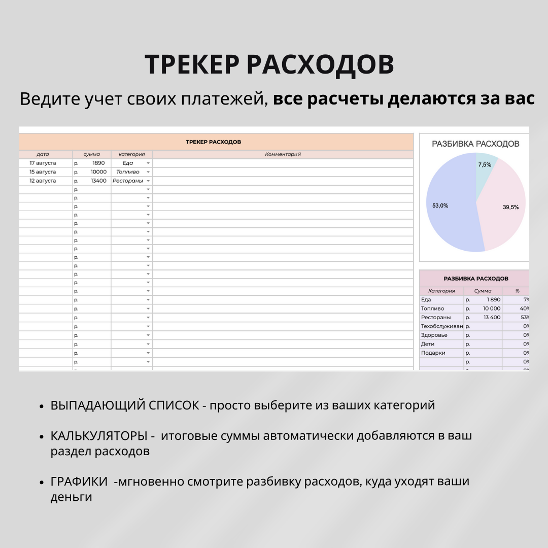 Шаблон бюджета - миниатюра 5